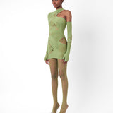 Sage Tights Sativa Green