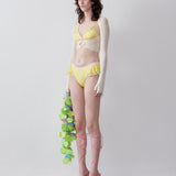 Richards Bikini Bottoms Sunshine Gingham