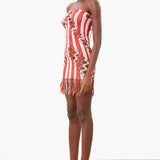 Haze Dress Burgundy Stripe