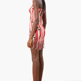 Haze Dress Burgundy Stripe