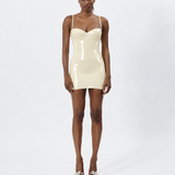 The Visible Dress